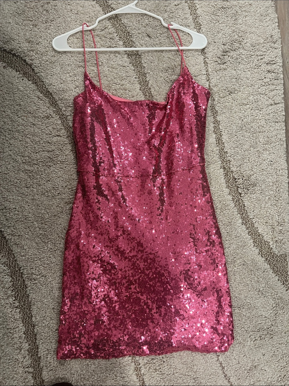NWT Windsor Rose Pink Sequin Mini Slip Dress